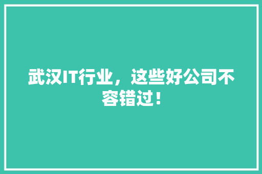 武汉IT行业，这些好公司不容错过！ 必应SEO