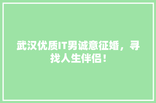 武汉优质IT男诚意征婚，寻找人生伴侣！ 百度SEO