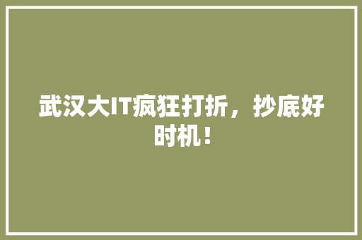 武汉大IT疯狂打折，抄底好时机！ 搜狗SEO