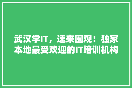武汉学IT，速来围观！独家本地最受欢迎的IT培训机构！ GoogleSEO