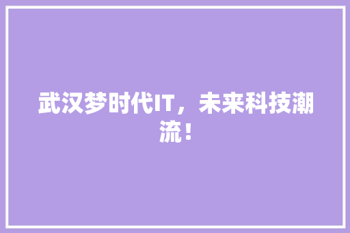 武汉梦时代IT，未来科技潮流！ 必应SEO