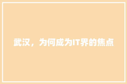 武汉，为何成为IT界的焦点