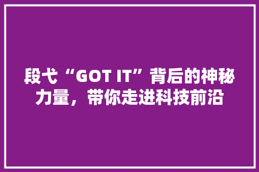 段弋“GOT IT”背后的神秘力量，带你走进科技前沿 百度SEO