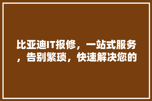 比亚迪IT报修，一站式服务，告别繁琐，快速解决您的设备难题！ 神马SEO