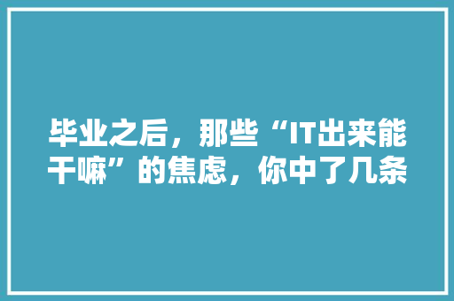毕业之后，那些“IT出来能干嘛”的焦虑，你中了几条 百度SEO