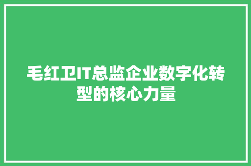 毛红卫IT总监企业数字化转型的核心力量 神马SEO