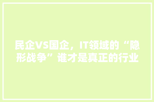 民企VS国企，IT领域的“隐形战争”谁才是真正的行业霸主 GoogleSEO