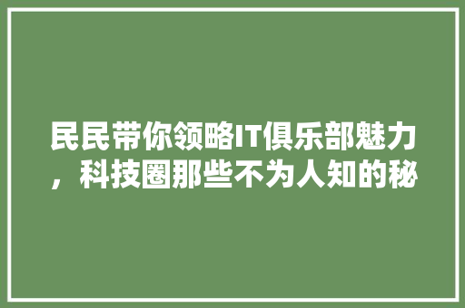 民民带你领略IT俱乐部魅力，科技圈那些不为人知的秘密 神马SEO