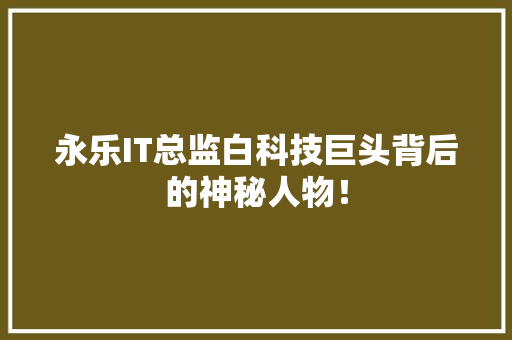永乐IT总监白科技巨头背后的神秘人物！ 百度SEO