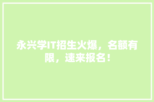 永兴学IT招生火爆，名额有限，速来报名！ 必应SEO