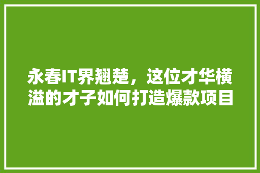 永春IT界翘楚，这位才华横溢的才子如何打造爆款项目！ 搜狗SEO