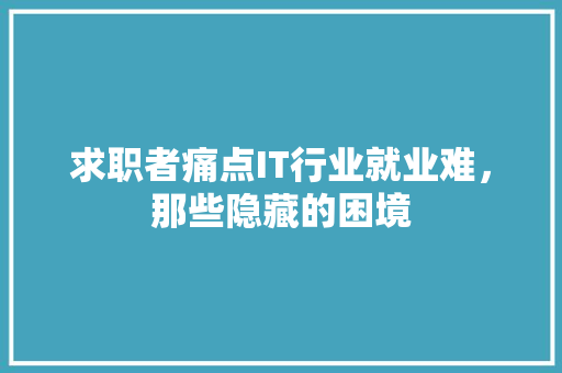 求职者痛点IT行业就业难，那些隐藏的困境 GoogleSEO