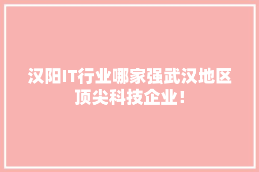 汉阳IT行业哪家强武汉地区顶尖科技企业！ GoogleSEO