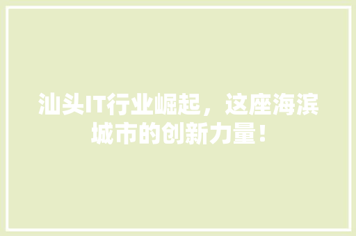 汕头IT行业崛起，这座海滨城市的创新力量！ GoogleSEO
