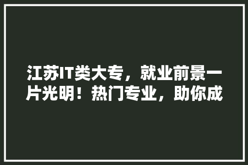 江苏IT类大专，就业前景一片光明！热门专业，助你成为行业精英！ 必应SEO