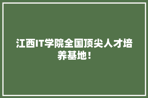 江西IT学院全国顶尖人才培养基地！ 百度SEO