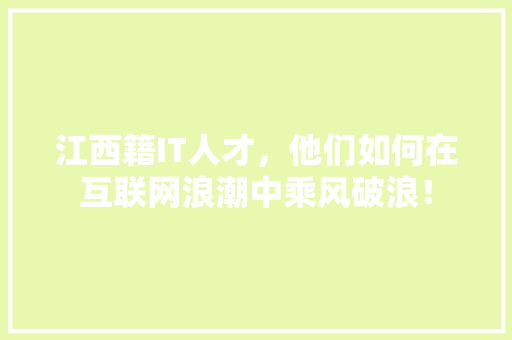 江西籍IT人才，他们如何在互联网浪潮中乘风破浪！ 必应SEO