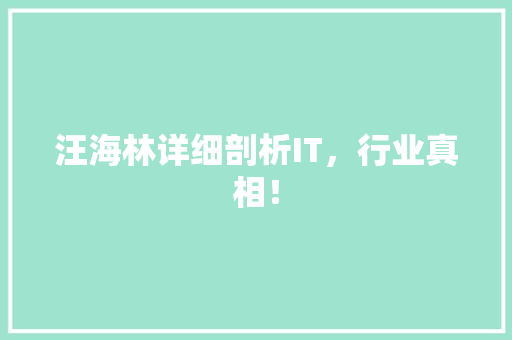 汪海林详细剖析IT，行业真相！ 百度SEO