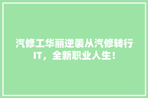 汽修工华丽逆袭从汽修转行IT，全新职业人生！ GoogleSEO