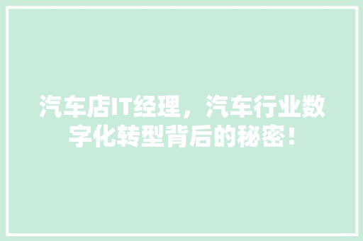 汽车店IT经理，汽车行业数字化转型背后的秘密！ 必应SEO