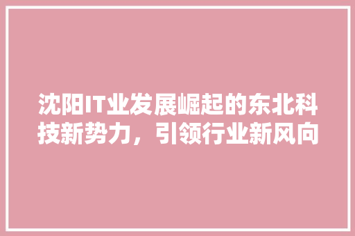 沈阳IT业发展崛起的东北科技新势力，引领行业新风向！ 神马SEO