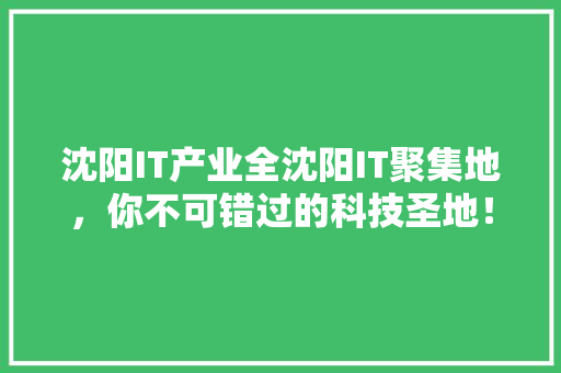 沈阳IT产业全沈阳IT聚集地，你不可错过的科技圣地！ 神马SEO