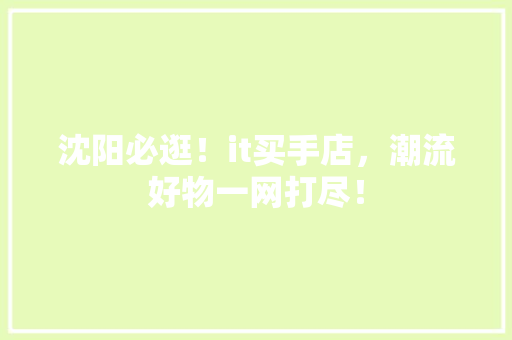 沈阳必逛！it买手店，潮流好物一网打尽！ 神马SEO