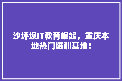 沙坪坝IT教育崛起，重庆本地热门培训基地！ GoogleSEO
