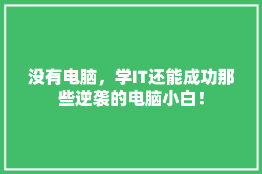 没有电脑，学IT还能成功那些逆袭的电脑小白！ 神马SEO