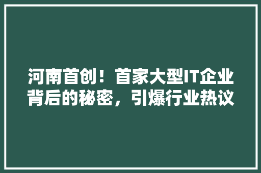 河南首创！首家大型IT企业背后的秘密，引爆行业热议！ 百度SEO
