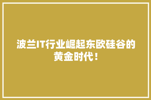 波兰IT行业崛起东欧硅谷的黄金时代！ 神马SEO