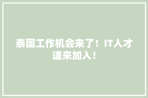 泰国工作机会来了！IT人才速来加入！ 必应SEO