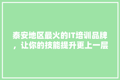 泰安地区最火的IT培训品牌，让你的技能提升更上一层楼！ 神马SEO