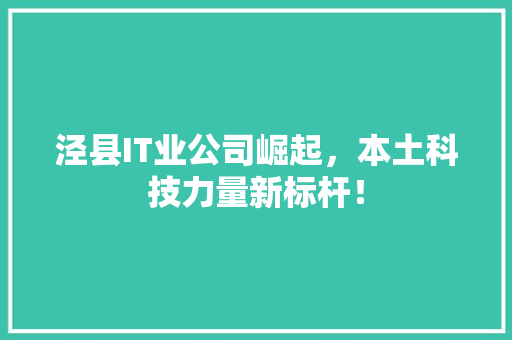 泾县IT业公司崛起，本土科技力量新标杆！ 神马SEO