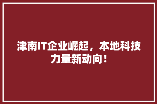 津南IT企业崛起，本地科技力量新动向！ 必应SEO