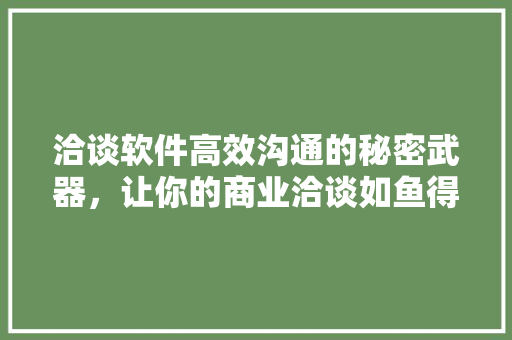 洽谈软件高效沟通的秘密武器，让你的商业洽谈如鱼得水！ GoogleSEO