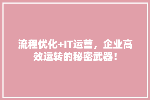 流程优化+IT运营，企业高效运转的秘密武器！ 百度SEO