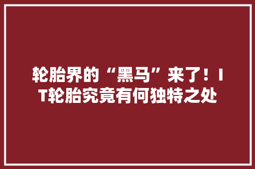 轮胎界的“黑马”来了！IT轮胎究竟有何独特之处 百度SEO