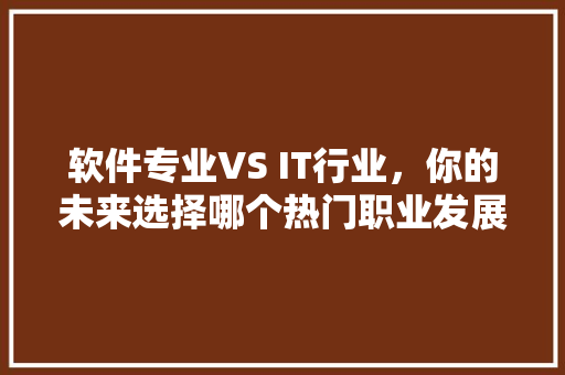 软件专业VS IT行业，你的未来选择哪个热门职业发展趋势！ 必应SEO