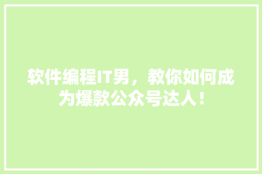软件编程IT男，教你如何成为爆款公众号达人！ 必应SEO