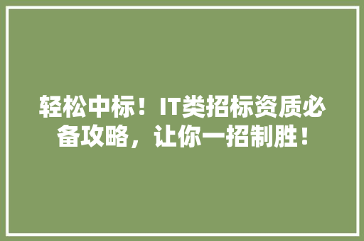轻松中标！IT类招标资质必备攻略，让你一招制胜！ 神马SEO