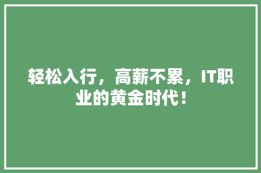 轻松入行，高薪不累，IT职业的黄金时代！ 百度SEO