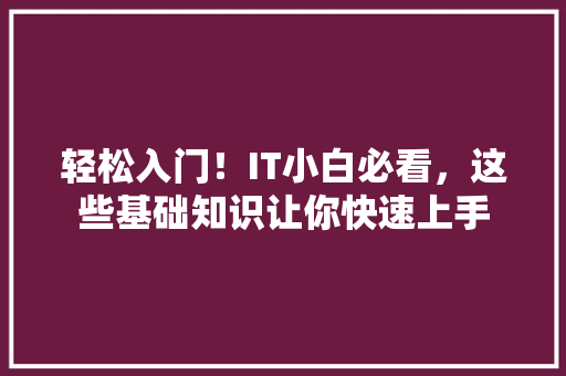 轻松入门！IT小白必看，这些基础知识让你快速上手 搜狗SEO