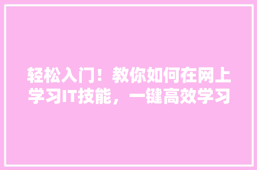 轻松入门！教你如何在网上学习IT技能，一键高效学习新姿势 百度SEO
