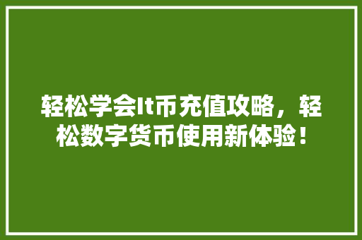 轻松学会It币充值攻略，轻松数字货币使用新体验！ 必应SEO