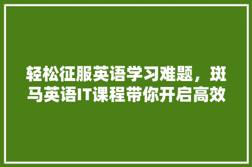 轻松征服英语学习难题，斑马英语IT课程带你开启高效学习之旅！ GoogleSEO