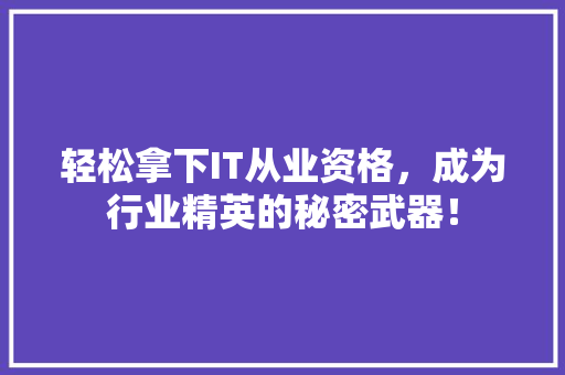 轻松拿下IT从业资格，成为行业精英的秘密武器！