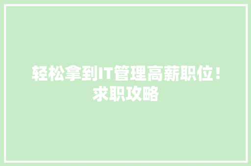 轻松拿到IT管理高薪职位！求职攻略 GoogleSEO