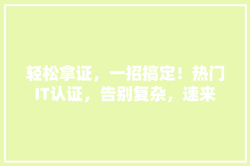轻松拿证，一招搞定！热门IT认证，告别复杂，速来 GoogleSEO