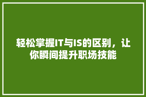 轻松掌握IT与IS的区别，让你瞬间提升职场技能 必应SEO